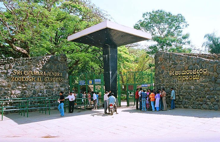 Sri Chamarajendra Zoological Gardens, Mysuru (Mysore), Karnataka - Vushii.com Sri Chamarajendra Zoological Gardens, Mysuru (Mysore), Karnataka - Vushii.com